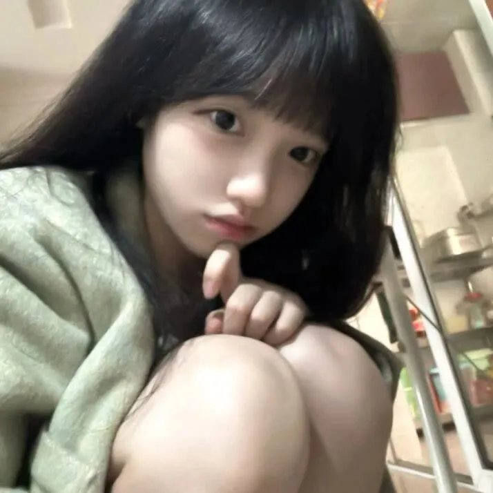 菊石